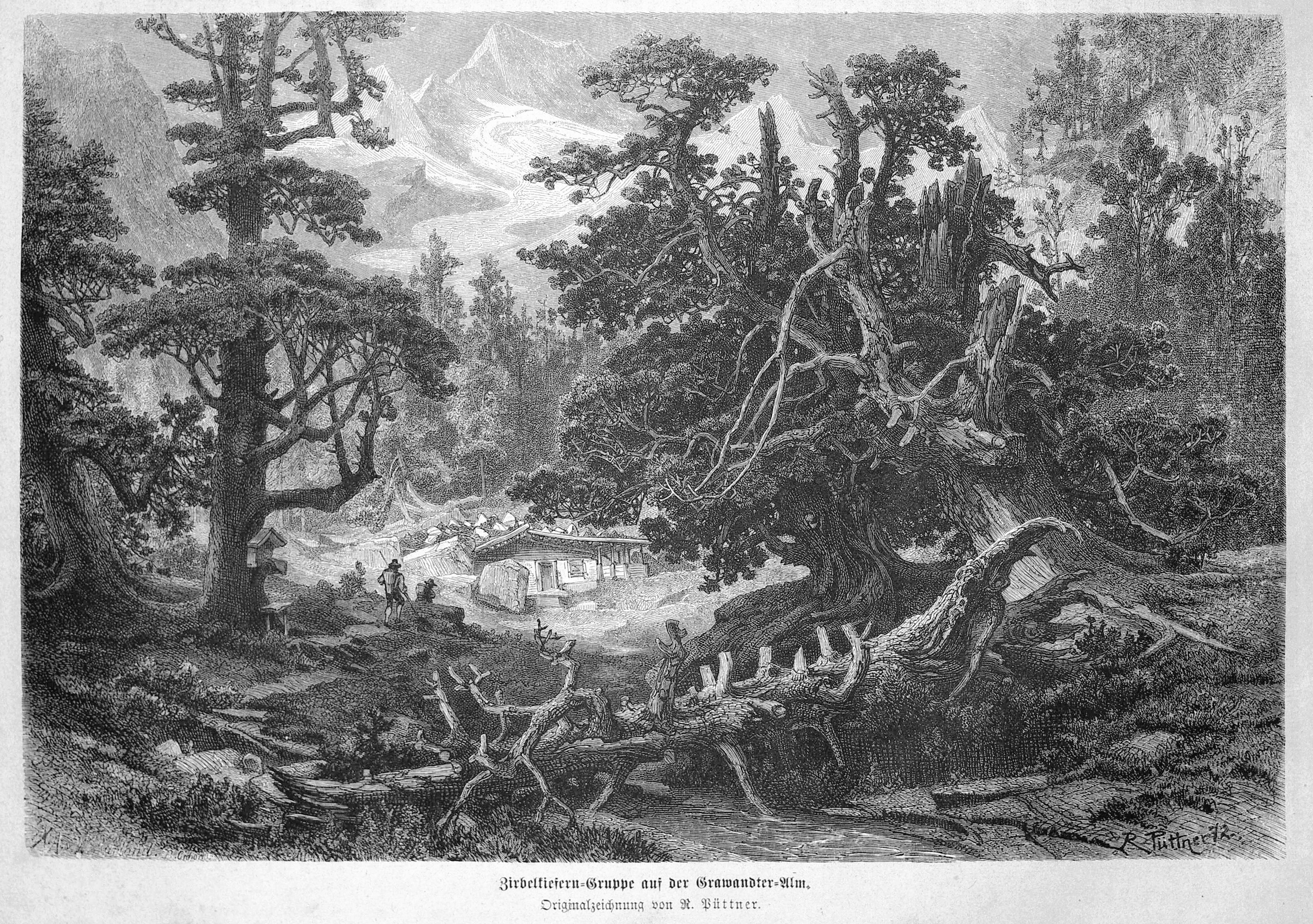 Die Gartenlaube (1872) b 506