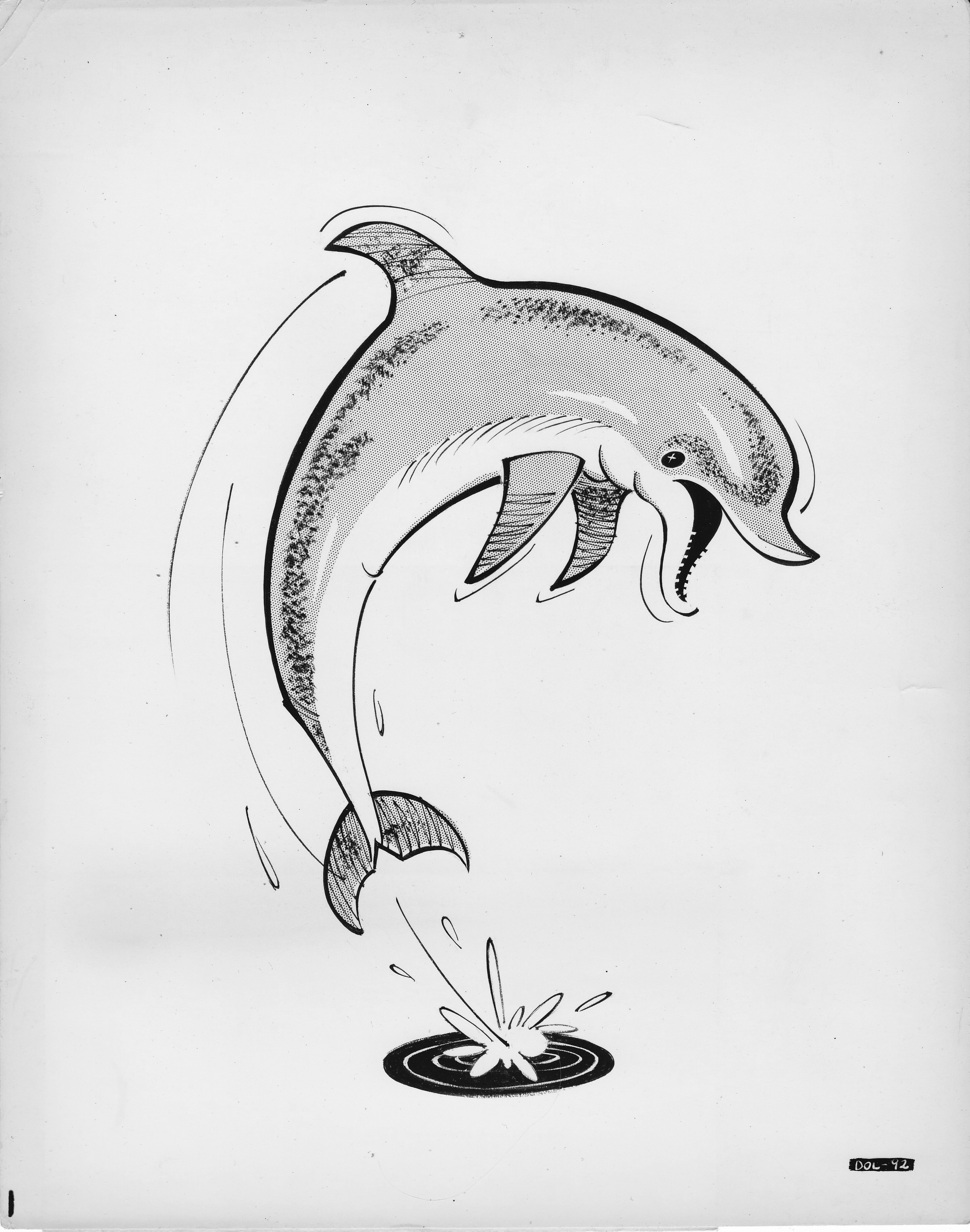 Flipper TV Series Illustration 1960s