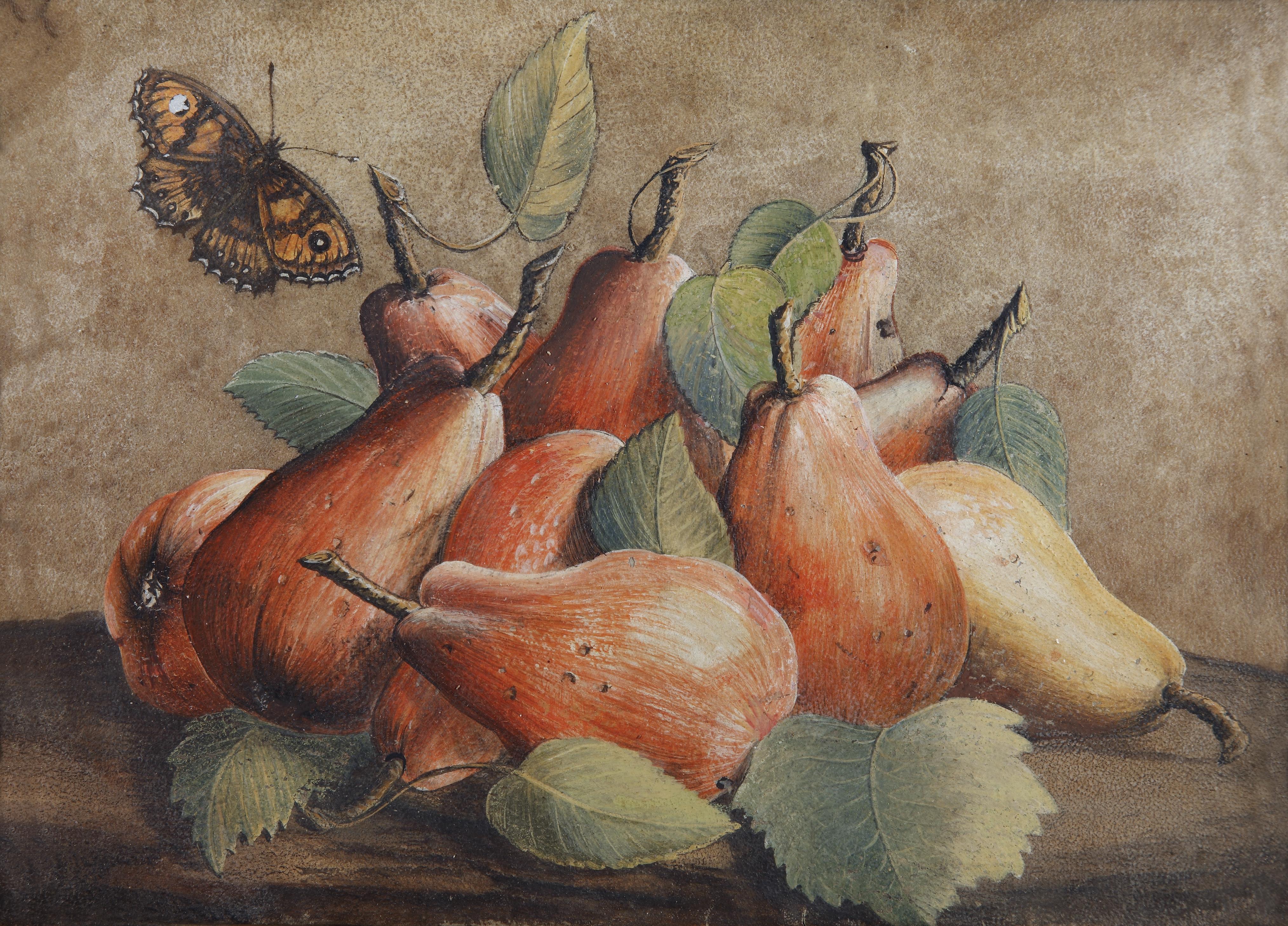 Giovanna Garzoni Stillleben mit Birnen und einem Schmetterling