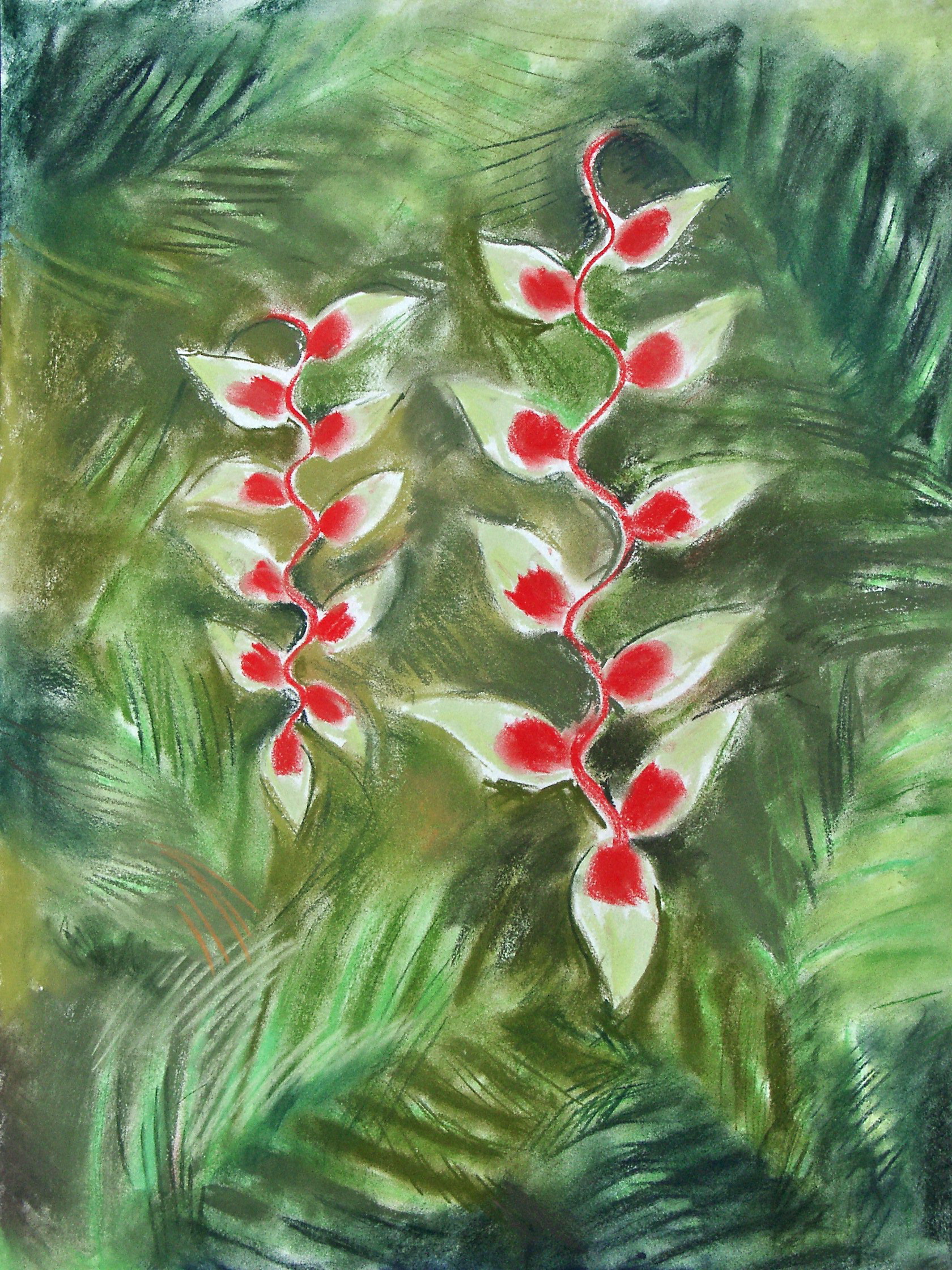 Heliconia, Singapore