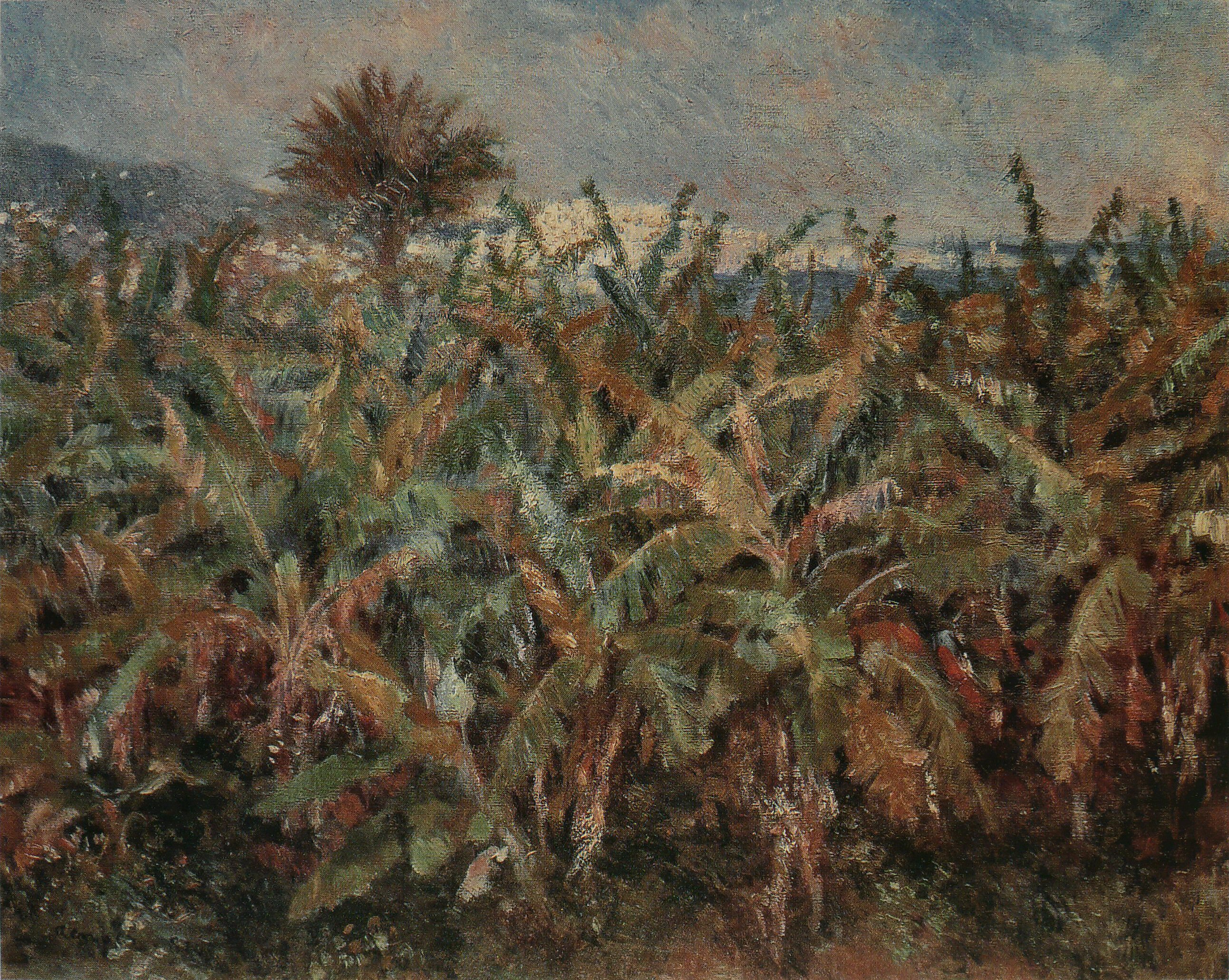 Pierre-Auguste Renoir - Champ de bananiers
