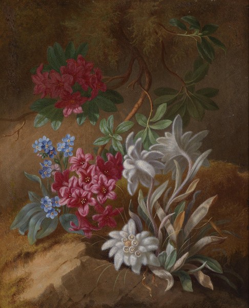 Adele Schuster Alpenblumen