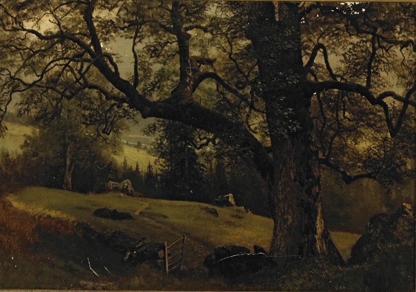 Albert Bierstadt - A Trail Through the Trees