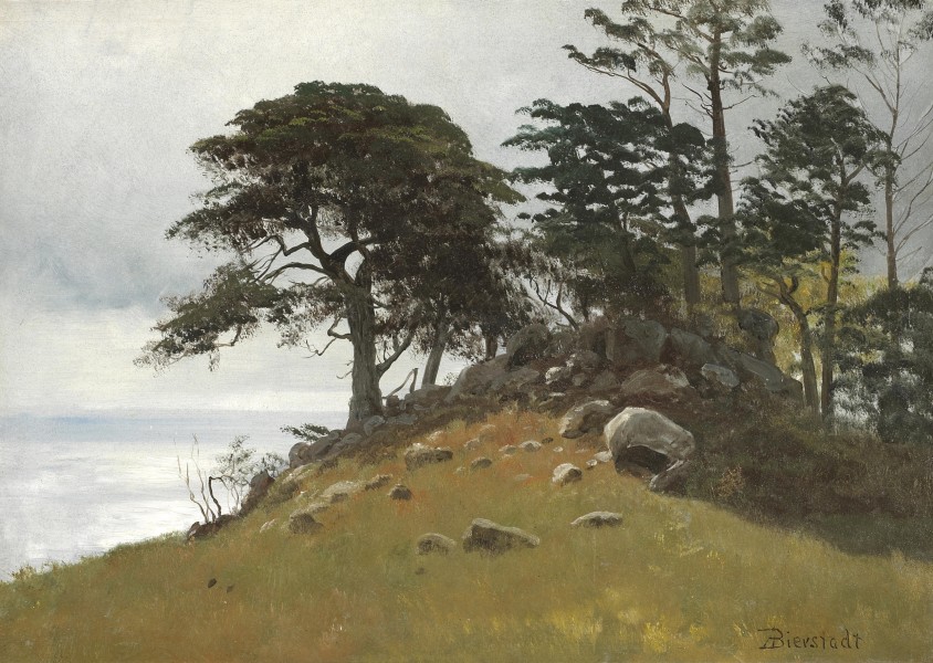 Albert Bierstadt - Cypress Point, Monterey
