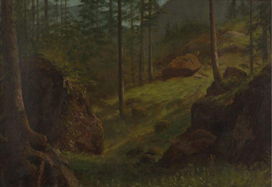 Albert Bierstadt - Wooded hillside