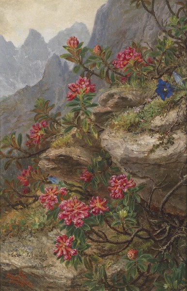 Anna Stainer-Knittel Alpenblumen
