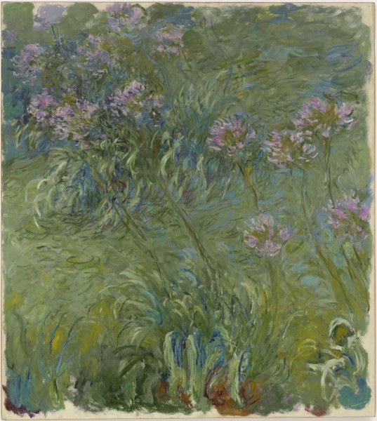 Claude Monet - Agapanthus