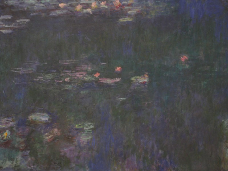 Claude Monet IMG 2065