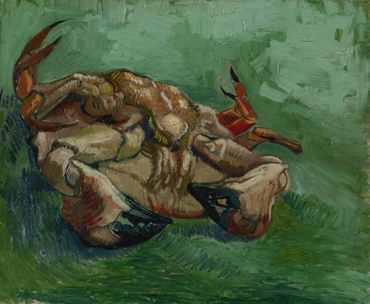 Crustacean, lying on his back by Vincent van Gogh (Van Gogh museum photogtaph)