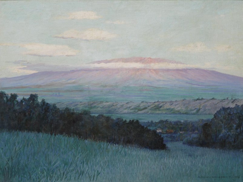 D. Howard Hitchcock - View of Haleakala, Maui, 1915