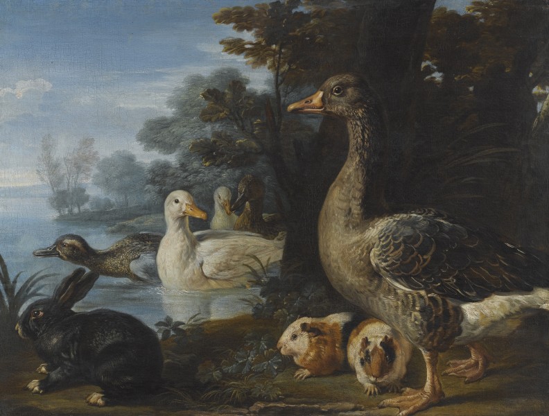 Ducks, Guinea Pigs and a Rabbit in a Wooded Landscape Beside a Lake by David de Coninck