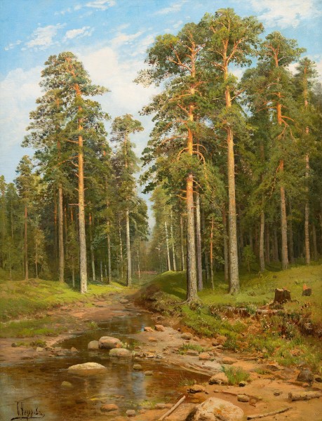 Fedorov Forest creek