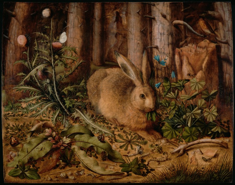 Hans Hoffmann (German - A Hare in the Forest - Google Art Project