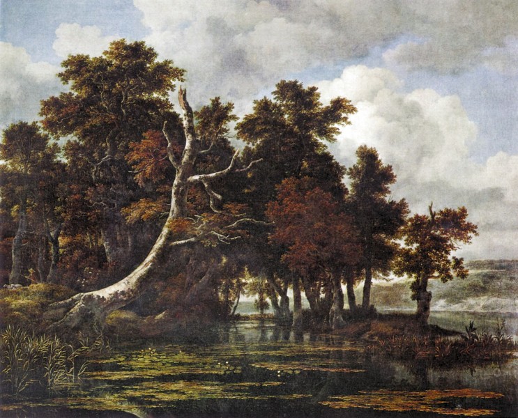 Jacob Isaaksz. van Ruisdael 012