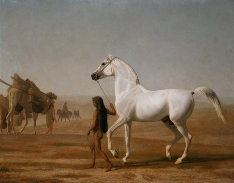Jacques-Laurent Agasse - The Wellesley Grey Arabian Led through the Desert - Google Art Project