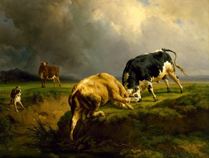 Jacques-Raymond Brascassat - Un combat de taureau (1855)