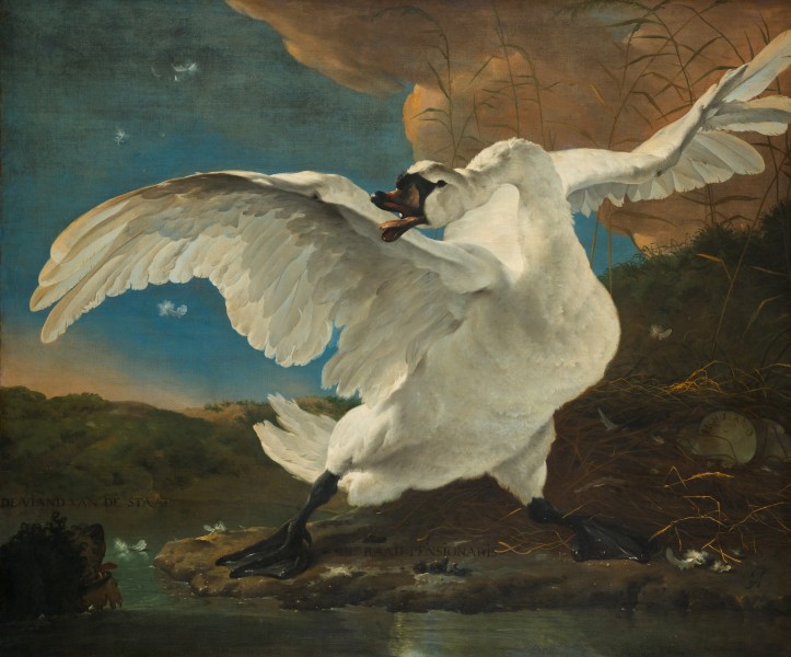 Jan Asselijn - De bedreigde zwaan; later opgevat als allegorie op Johan de Witt - Google Art Project