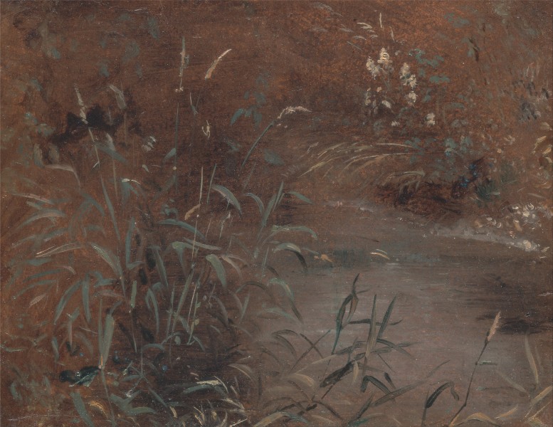 John Constable - Rushes by a pool - Google Art Project