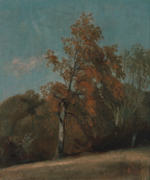 John Constable - Study of an Ash Tree - Google Art Project