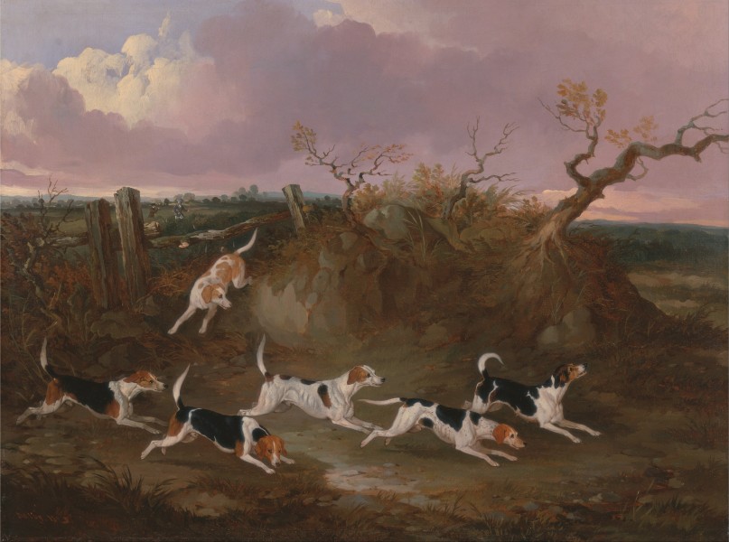 John Dalby - Beagles in Full Cry - Google Art Project
