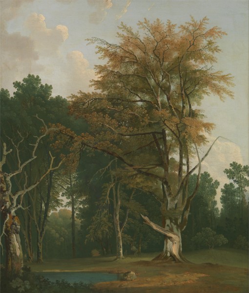 Joseph Farington - Trees in a Woodland Glade - Google Art Project