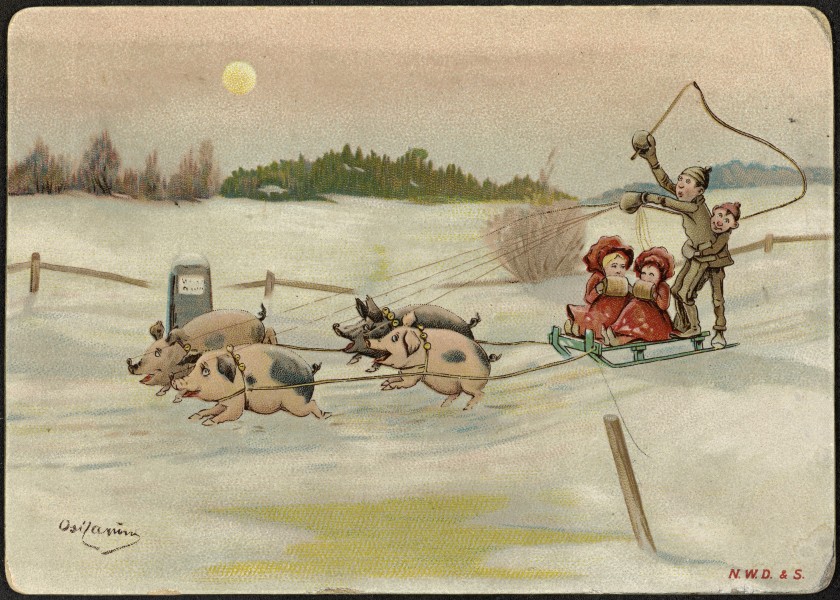 Julekort med slede og gris (18860535386)