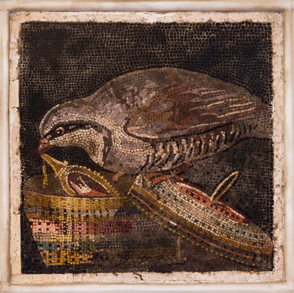 MANNapoli 9980 Mosaic pernice ladra Pompeii Italy