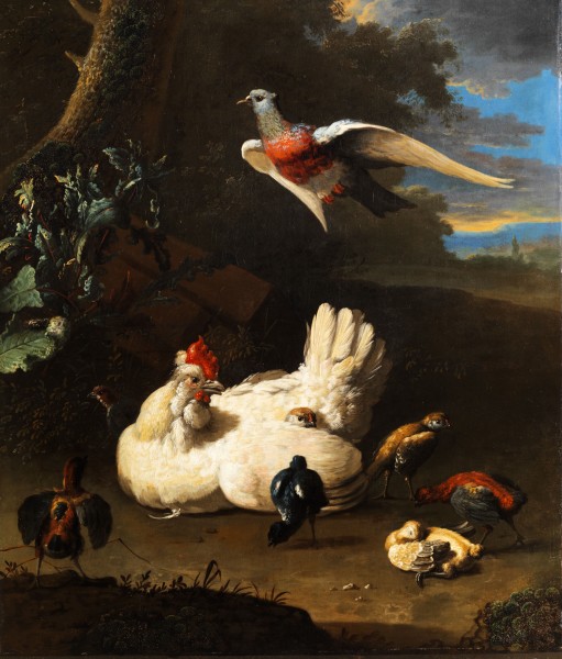 Melchior d Hondecoeter Federvieh