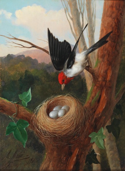 Michelangelo Meucci Vogel bei seinem Nest