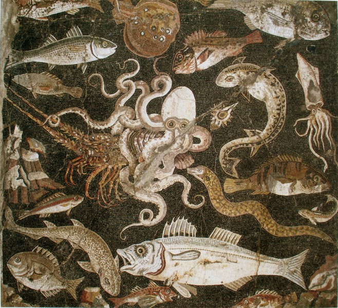 Mosaïque de la vie marine, Pompéi, Italie