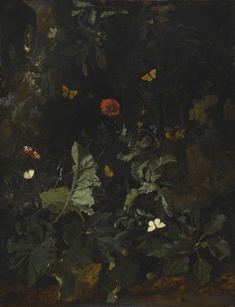 Nicolaes de Vree A Forest Floor Still Life with Flowering Plants and Butterflies