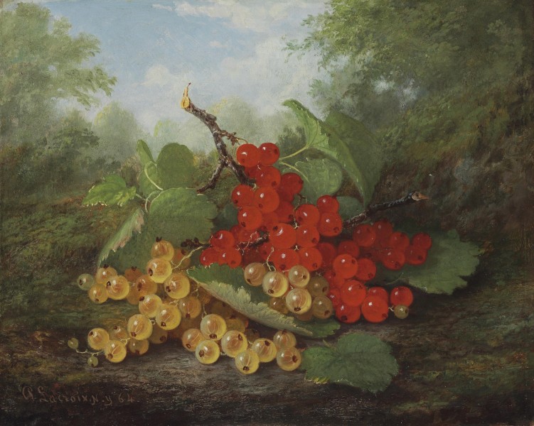 Paul LaCroix - Still Life with Red and White Currants
