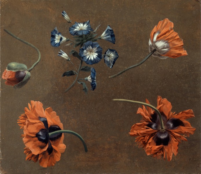 Poppies and Tradascanthus - Google Art Project