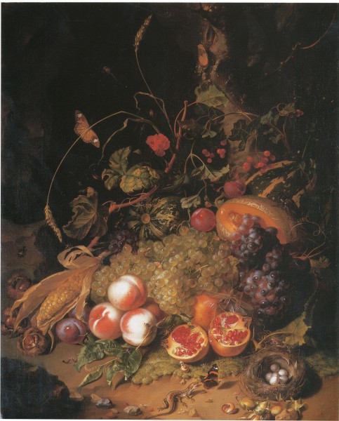 Rachel Ruysch - still life with fruit a nest and a lizard - 1710