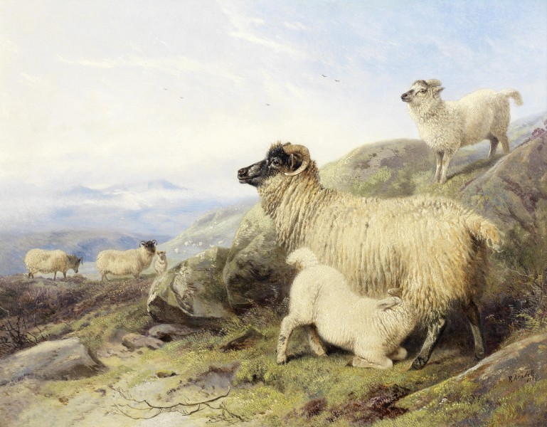 Richard Ansdell - Sheep on a mountainside (1856)