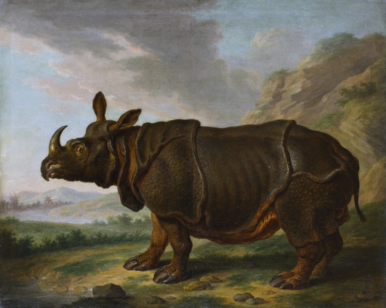 The Leiden Rhinoceros, by Johann Dietrich Findorff