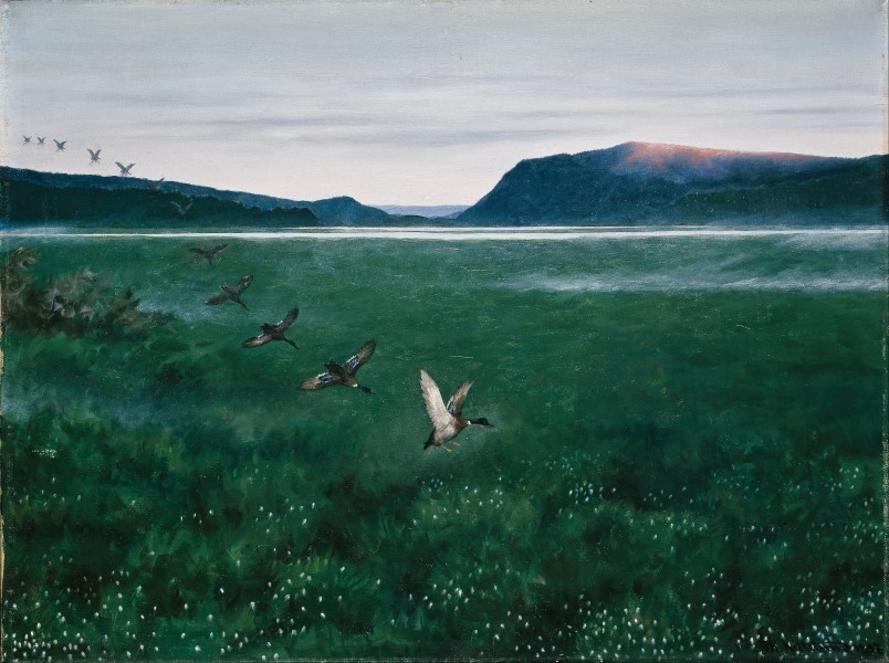 Theodor Kittelsen - The twelwe wild Ducks - Google Art Project