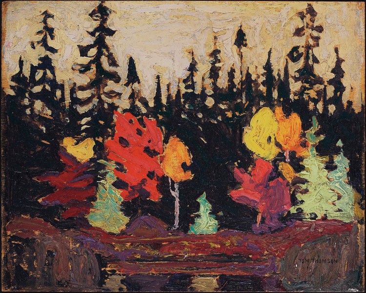 Tom Thomson - Black Spruce and Maple - Google Art Project