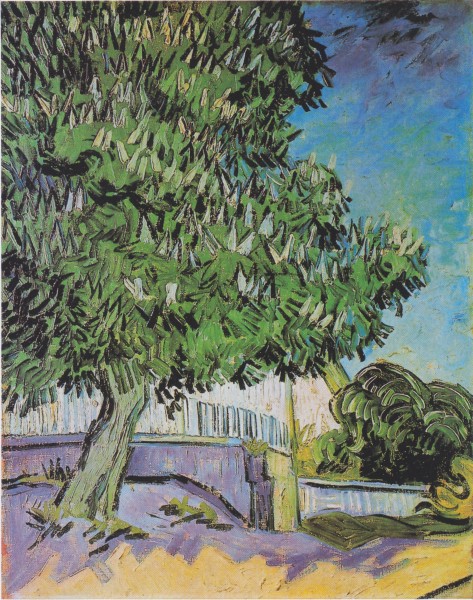 Van Gogh - Blühende Kastanienbäume1