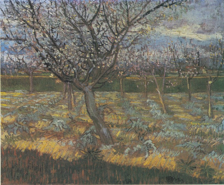 Van Gogh - Blühender Obstgarten mit Aprikosenbäumen1