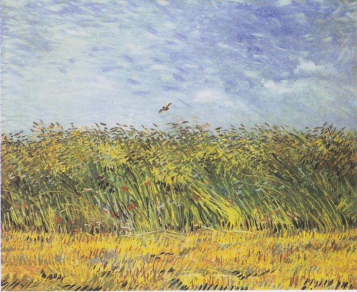Van Gogh - Getreidefeld mit Mohnblumen und Lerche