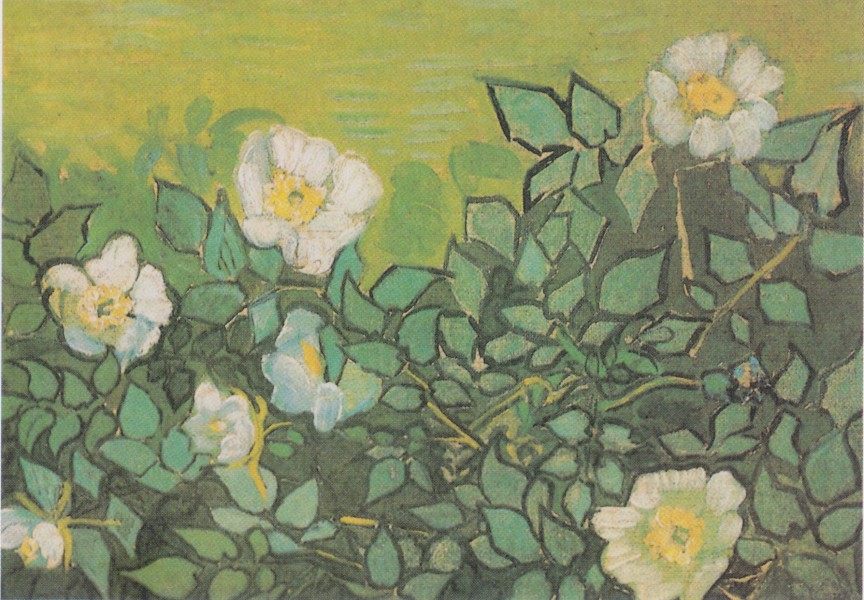 Van Gogh - Wilde Rosen