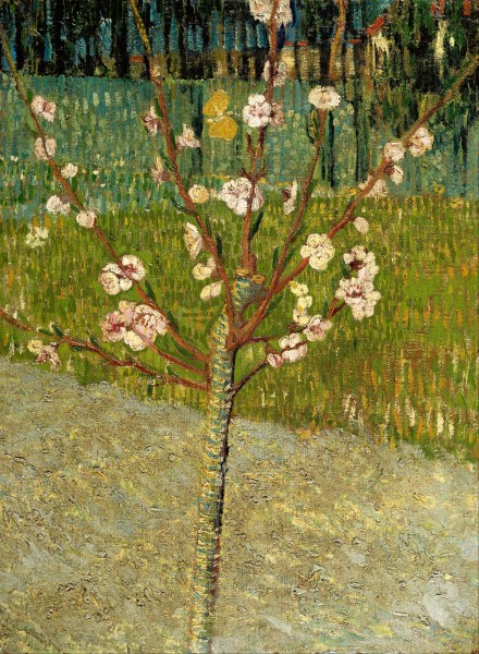Vincent van Gogh - Almond tree in blossom - Google Art Project