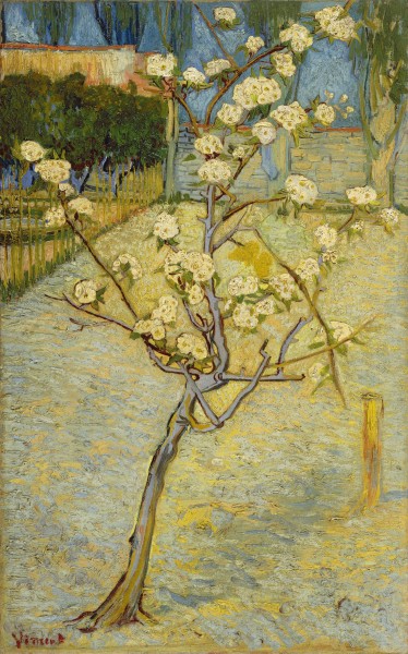Vincent van Gogh - Bloeiend perenboompje - Google Art Project