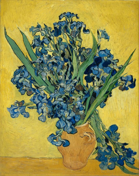 Vincent van Gogh - Irises - Google Art Project