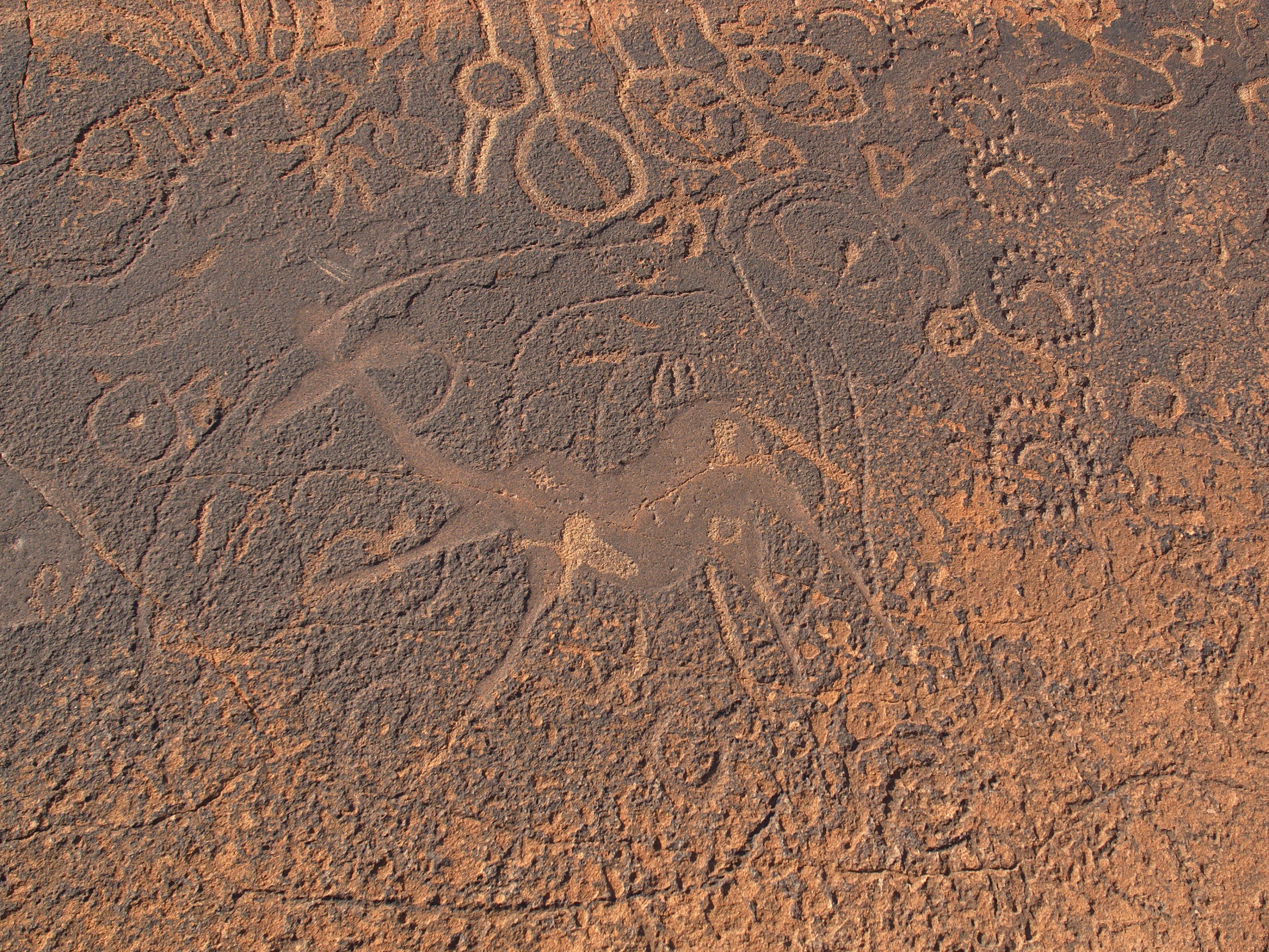 San - Khoekhoen rock art - Namibia