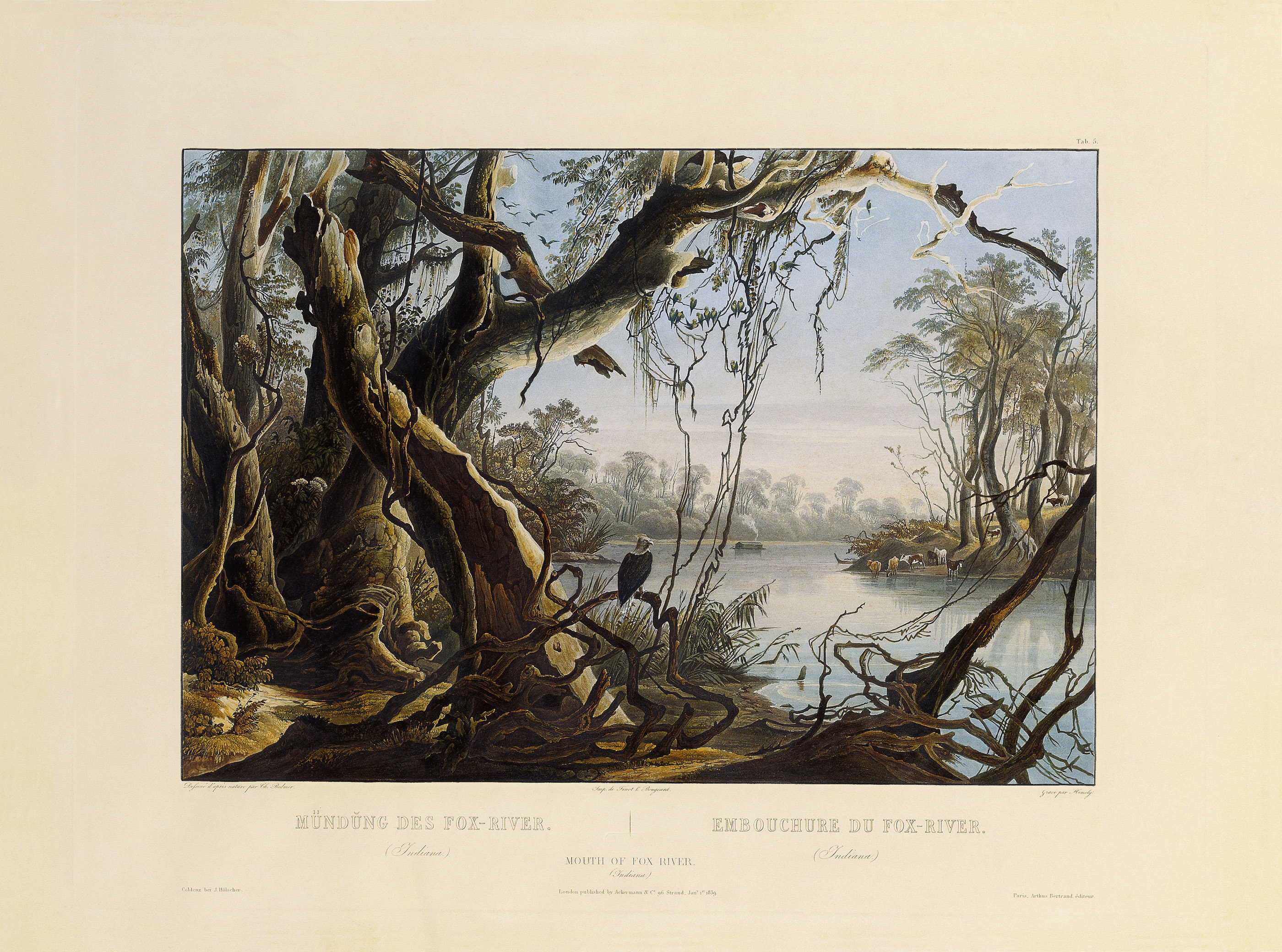 Tableau 5 Mouth of Fox River (Indiana) by Karl Bodmer