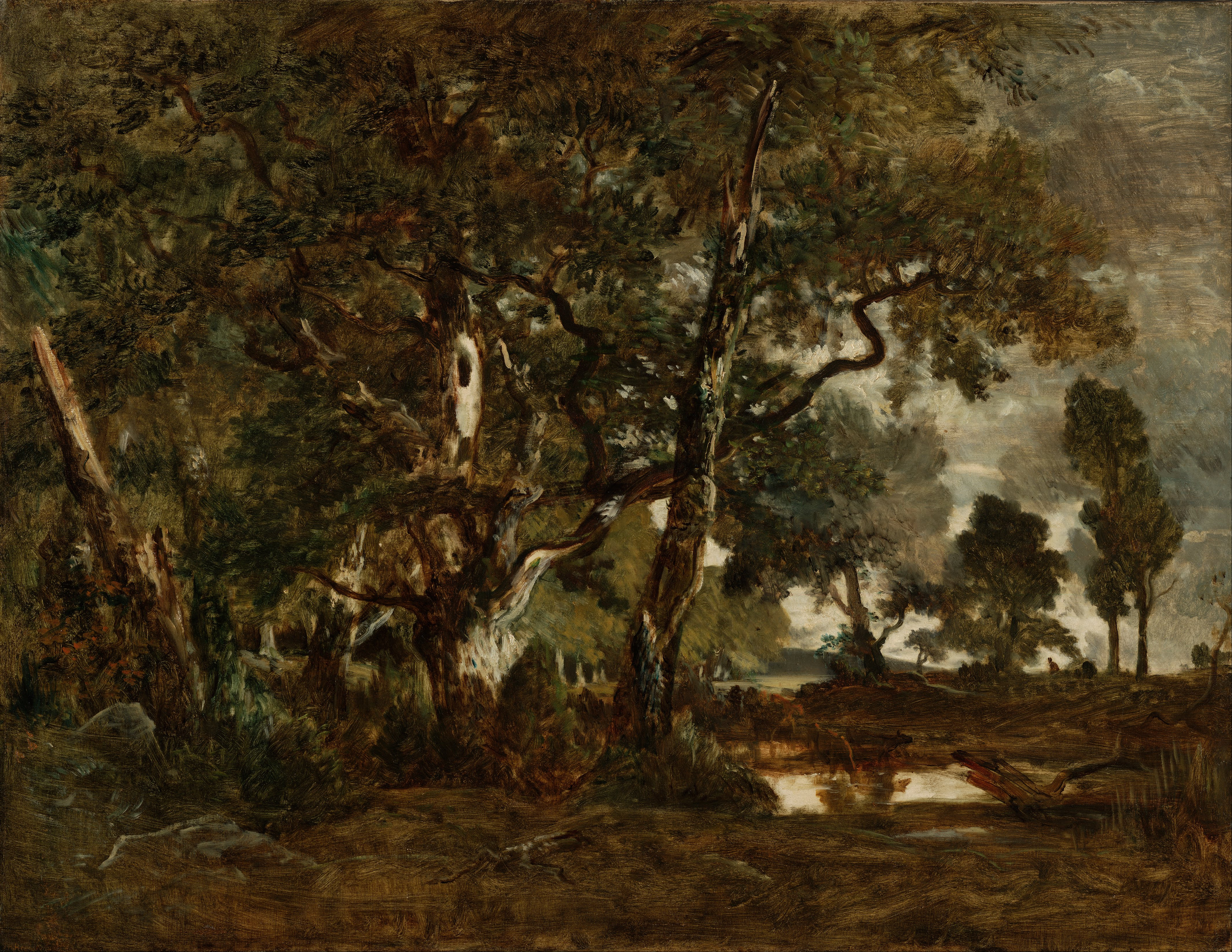 Théodore Rousseau (French - Forest of Fontainebleau, Cluster of Tall Trees Overlooking the Plain of Clair-Bois at the Edge of Ba... - Google Art Project