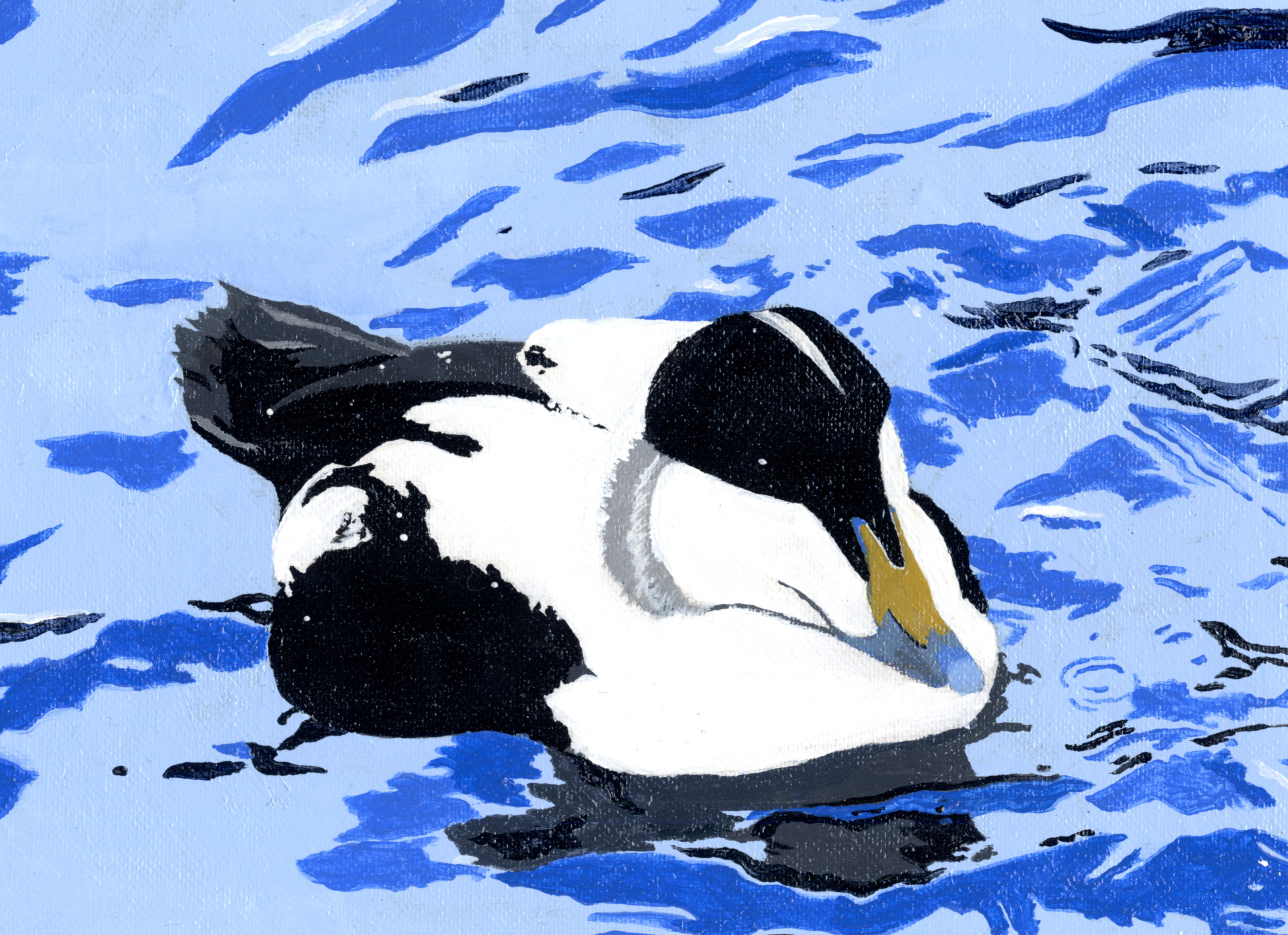 The finalist from Alaska for the 2011 Junior Duck Stamp Art Contest. (5610021420)