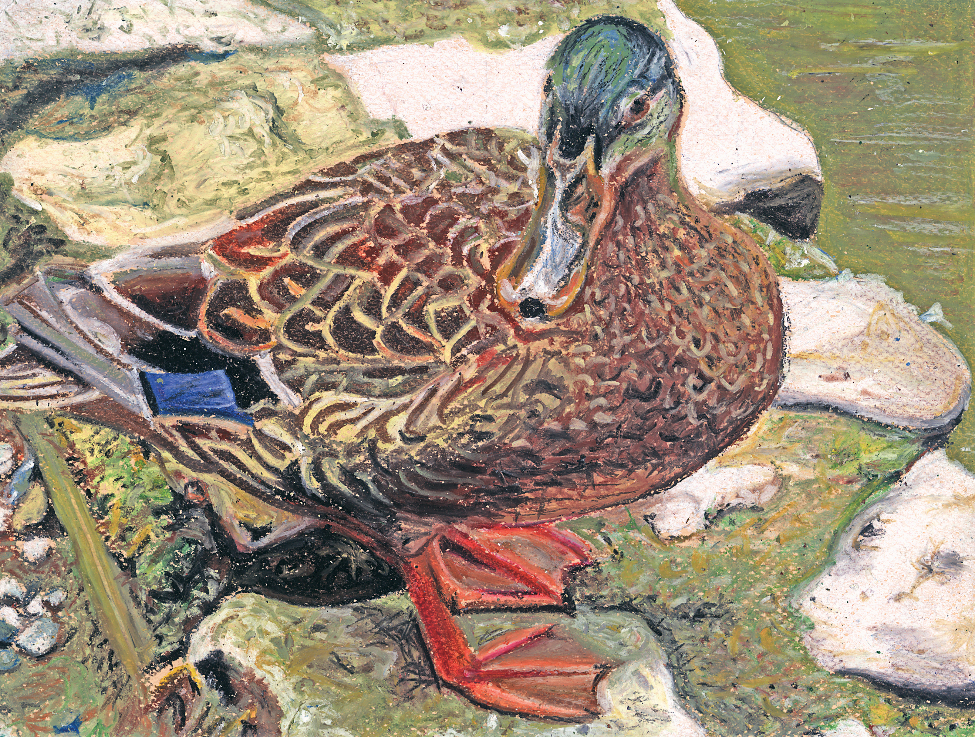 The finalist from Massachusetts for the 2011 Junior Duck Stamp Art Contest. (5610357418)